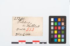 Etikett zu Bronzebrillenfibel (NHMW-PRAE-025391)